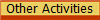 Other Activities